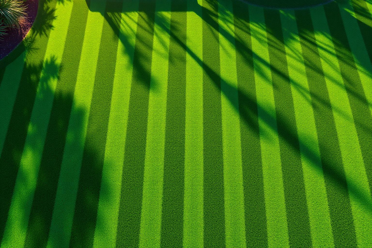 Lawn Mowing